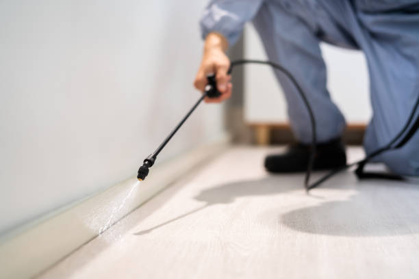 Licensed Pest Control service in Crystal Springs, MS - Show Me Pest Control