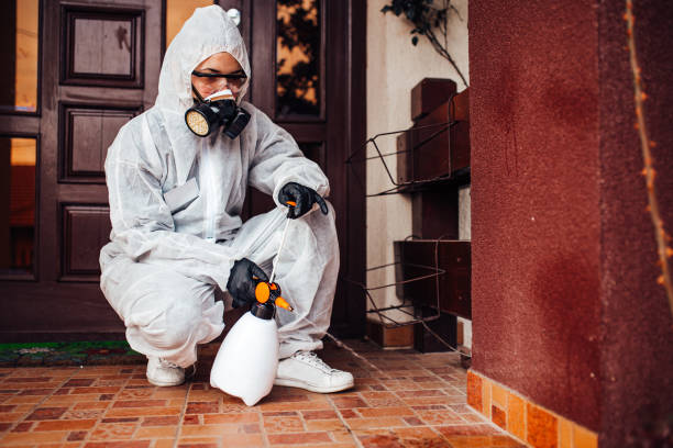 Reliable Ant Control contractor in Crystal Springs, MS by Show Me Pest Control